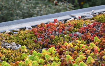 the cost of Backies green roof installation