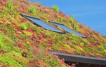 Backies living roof systems