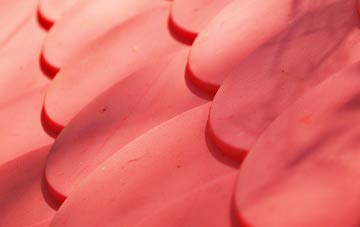 Backies plastic roof costs